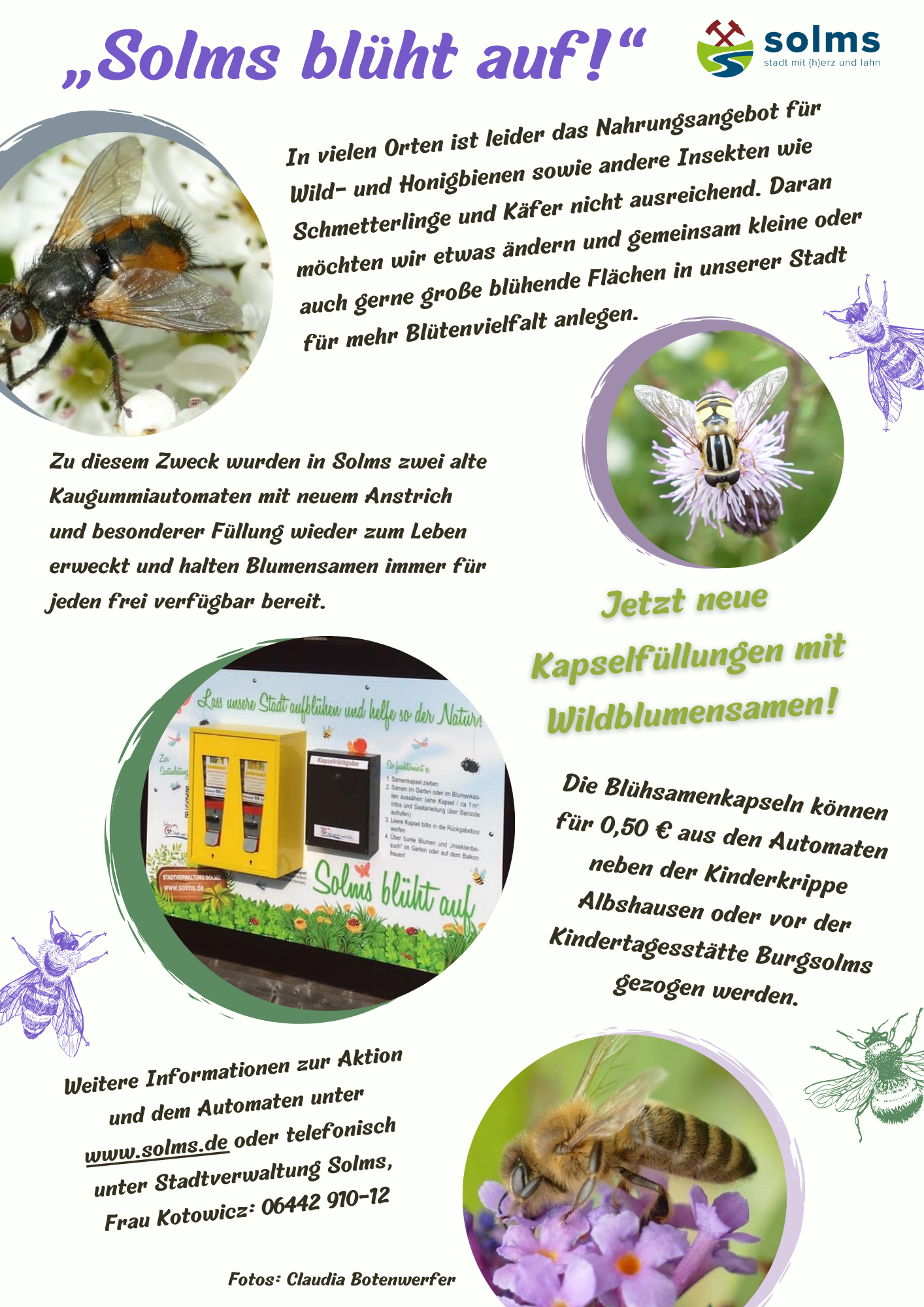 Blumenkapseln für die Bienen - 1