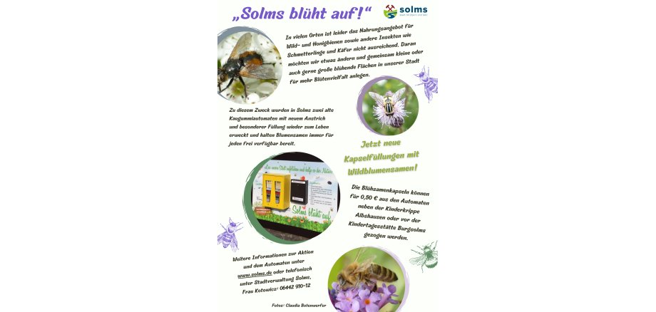 Blumenkapseln für die Bienen - 1