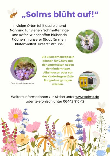 Solms blüht auf! - 1