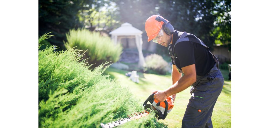 Professional gardener using electric saw, cutting hedge in the garden.