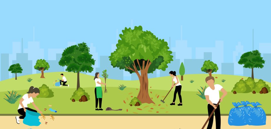 environmental activists pick up trash in the park, sweep up fallen leaves and plant trees.