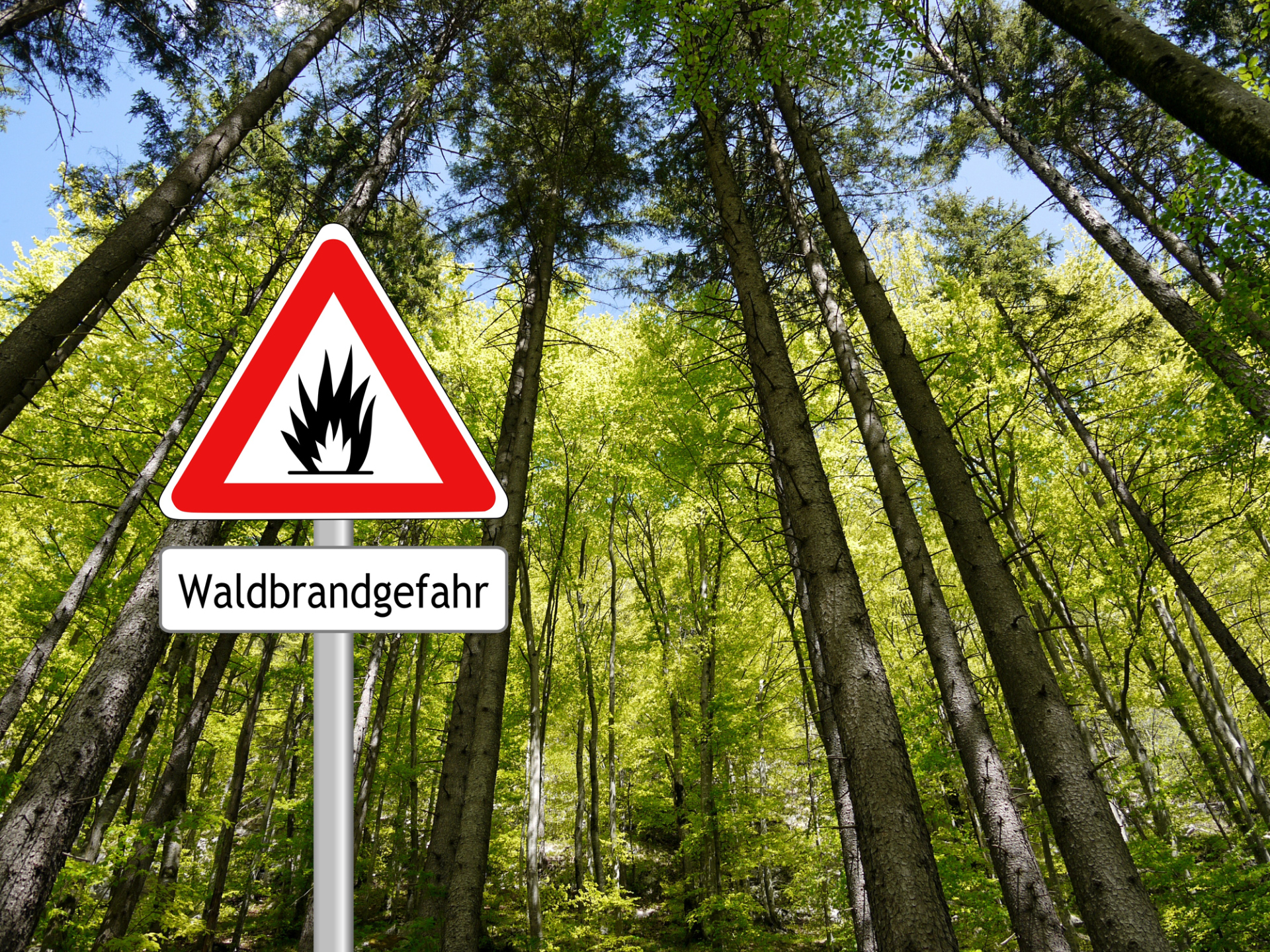 Forest fire danger shield